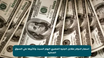 أسعار الدولار مقابل الجنيه المصري اليوم السبت وتأثيرها على السوق المحلية